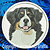 Bernese Mountain Dog Embroidery Patch - Click for More Information