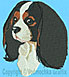 Cavalier King Charles Spaniel Portrait BT3412 - Balboa Collection - Click Picture for Details