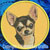 Chihuahua Embroidery Patch - Gold