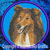 Rough Collie BT2492 Embroidery Patch - Blue