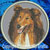 Rough Collie BT2492 Embroidery Patch - Grey