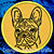 Black Brindle Colored French Bulldog Portrait #1A Embroidery Patch - Click for More Information