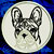 White Brindle Colored French Bulldog  Portrait #1D Embroidery Patch - Click for More Information