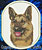 German Shepherd BT1588 Embroidery Patch - White