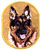 German Shepherd Embroidery Patch - Gold