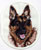 German Shepherd Embroidery Patch - White