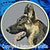 Dual Color German Shepherd HD Profile Embroidery Patch - Grey