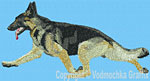 Black and Tan German Shepherd Agility HD#1 - Vodmochka Embroidery Design Picture - Click to Enlarge