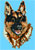 Black and Tan German Shepherd Portrait HD#1 - High Definition Collection - Click Picture for Details