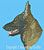 Sable German Shepherd Profile HD#2 - High Definition Collection - Click Picture for Details