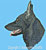 Black German Shepherd Profile HD#3 - High Definition Collection - Click Picture for Details