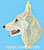 White German Shepherd Profile HD#4 - High Definition Collection - Click Picture for Details
