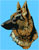 Black and Tan German Shepherd Profile HD#1 - High Definition Collection - Click Picture for Details