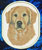 Golden Retriever Embroidery Patch - Click for More Information