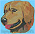 Golden Retriever Portrait BT1585 - Balboa Collection - Click Picture for Details