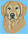 Golden Retriever Portrait BT2789 - Balboa Collection - Click Picture for Details