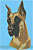 Great Dane Portrait BT2296 - Balboa Collection - Click Picture for Details