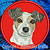 Jack Russell Terrier High Definition Portrait #1 Embroidery Patch - Red