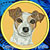 Jack Russell Terrier High Definition Portrait #2 Embroidery Patch - Click for More Information