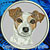 Jack Russell Terrier High Definition Portrait #2 Embroidery Patch - Grey