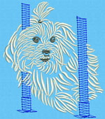 Maltese Agility #3 - Vodmochka Embroidery Design Picture - Click to Enlarge
