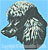 Poodle Portrait BT2396 - Balboa Collection - Click Picture for Details