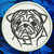 Pug Embroidery Patch - White