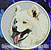 Samoyed Embroidery Patch - Grey