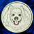 Samoyed Embroidery Patch - White