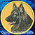 Sable Shiloh Shepherd Profile HD2 Embroidery Patch - Click for More Information