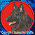 Shiloh Shepherd High Definition Profile #3 Embroidery Patch - Red