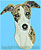 Whippet Portrait BT3413 - Balboa Collection - Click Picture for Details