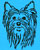 Yorkshire Terrier Portrait #1 - Graphic Collection - Click Picture for Details