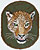 Jaguar Embroidery Patch - Green
