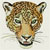 Jaguar Portrait HD#1 - High Definition Collection - Click Picture for Details