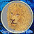 Lion High Definition Portrait #3 Embroidery Patch - Grey