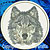 Grey Wolf High Definition Portrait #4 Embroidery Patch - White