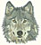 Wolf Portrait HD#4 - High Definition Collection - Click Picture for Details